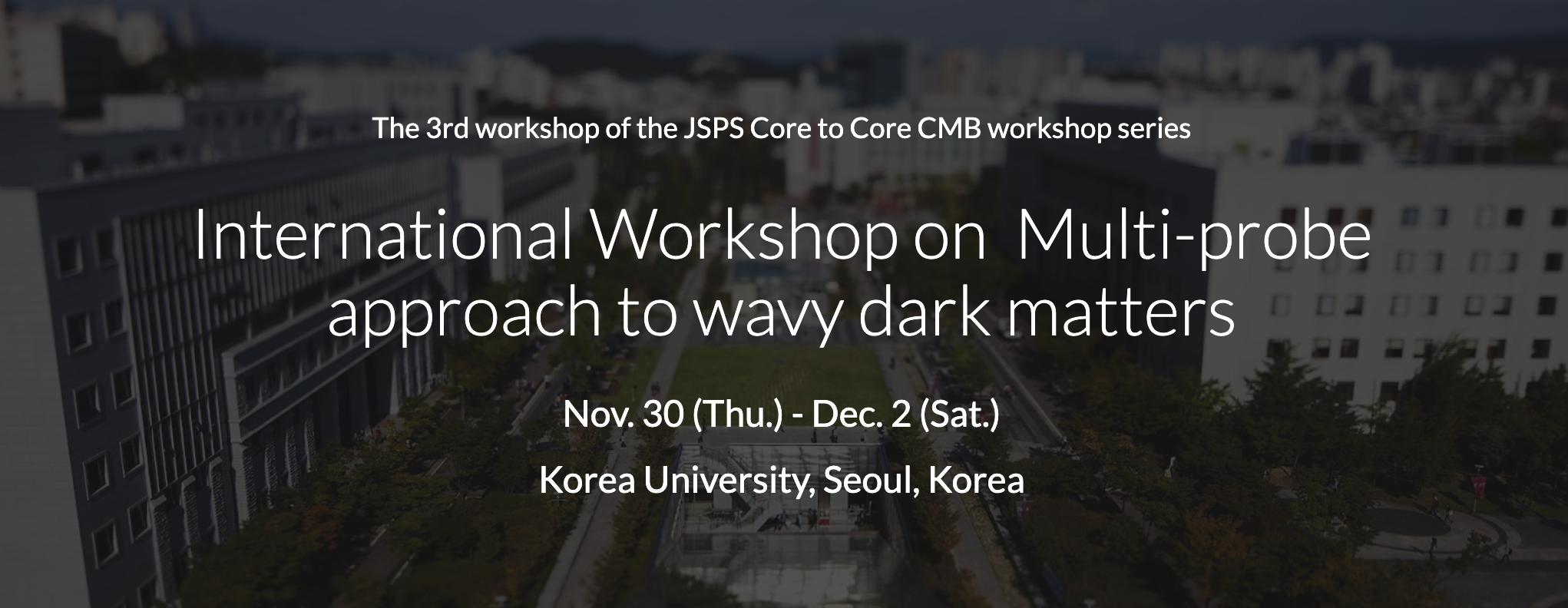 International Workshop on Multi-probe approach to wavy dark matters